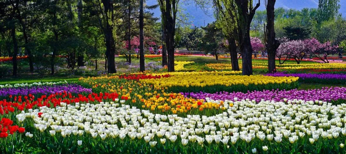 位于北京的国家植物园，图源：国家植物园官网