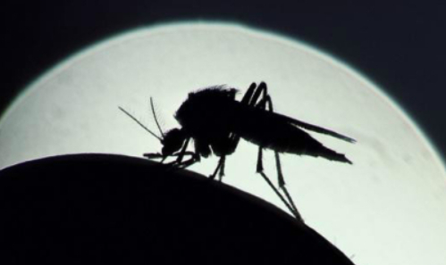 （图片来源：中新网）