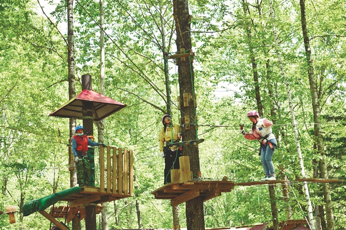     游客在丛林高空中探索，与森林亲密互动。