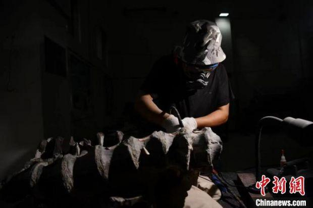 化石医生修复恐龙化石。　张浪 摄