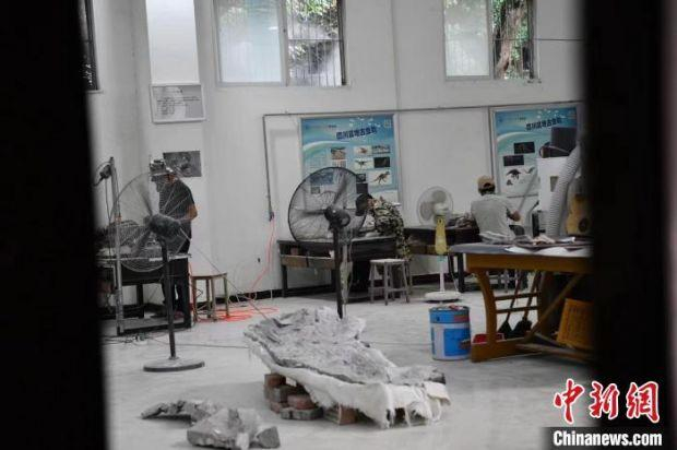 恐龙化石修复现场显得粗犷十足。　张浪 摄