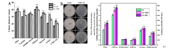 图1.长枝木霉野生菌株和突变菌株生长表型和酶活比较