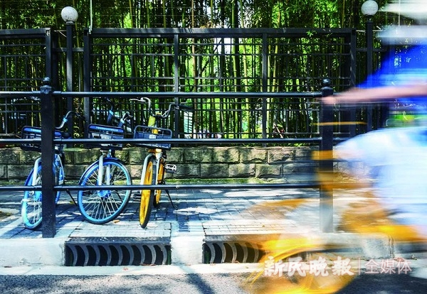 图说：现在的花园路经过积水点改善工程改造后，道路积水问题基本解决  新民晚报记者 陶磊 摄