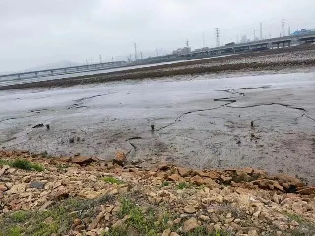 葫芦岛市龙港区的河岸 （受访对象供图）