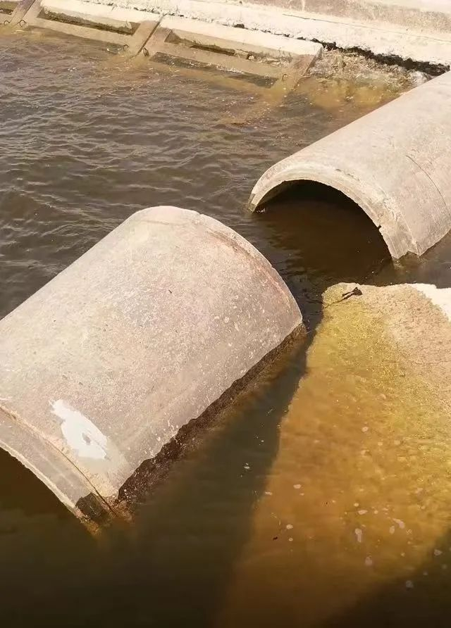 葫芦岛市龙港区的河岸 （受访对象供图）