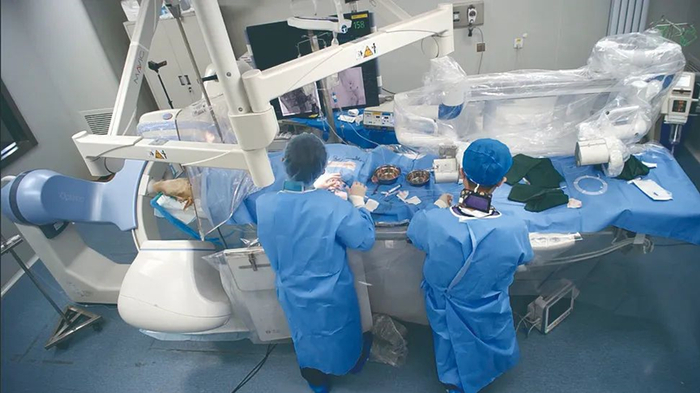 我国首次在羊脑内实现介入式脑机接口