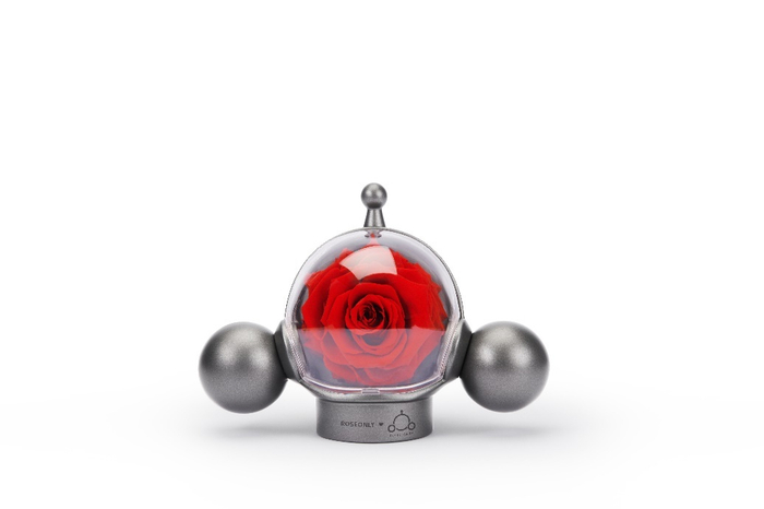 　　ROSEONLY× SKULLPANDA限定联名系列「向爱玫瑰」永生花