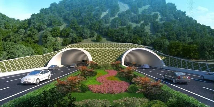 ▲黑白面将军山隧道效果图