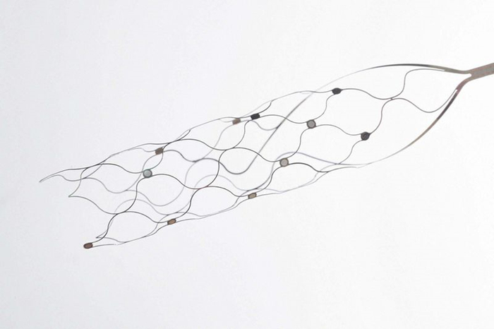 Synchro的脑机接口血管内植入物Stentrode