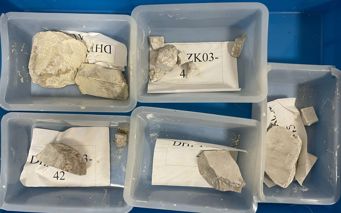 岩心样品照片。受访者供图