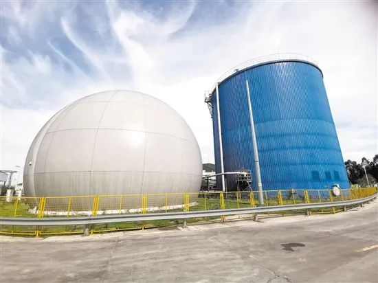 江门市市区餐厨垃圾处置厂可将餐厨垃圾转化为沼气，用于发电及锅炉供热。郭永乐 摄