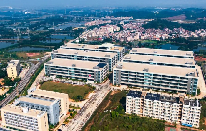 △西江日报记者 吴勇强 摄