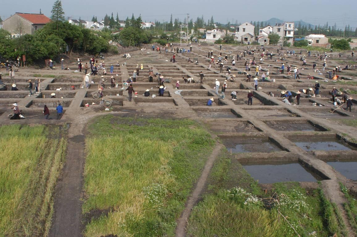 2008年广富林遗址的发掘场景