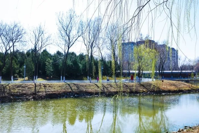 图片来源/龙口市人民政府网站