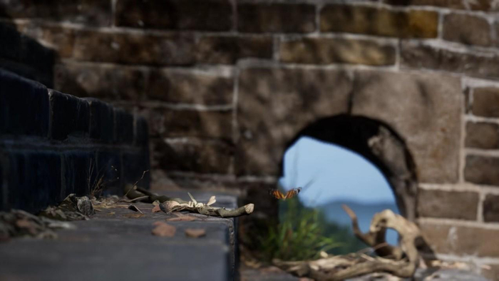 　　图说：“数字长城”是通过云游戏技术，实现最大规模文化遗产毫米级高精度、沉浸交互式的数字还原