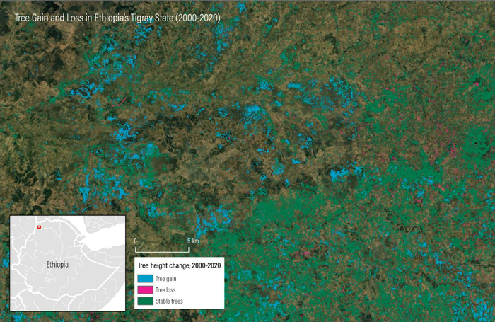 2000-2020年间提格雷州的林木增长和流失面积 | 图源：WRI