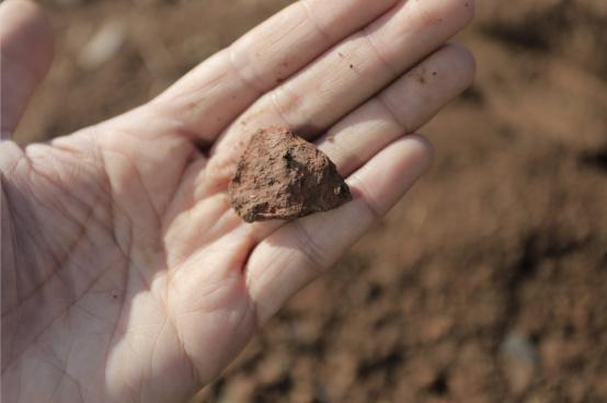▲在地里翻一翻，时常还能捡到陶片