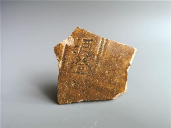 南越国宫署遗址出土“酒墱”款标本