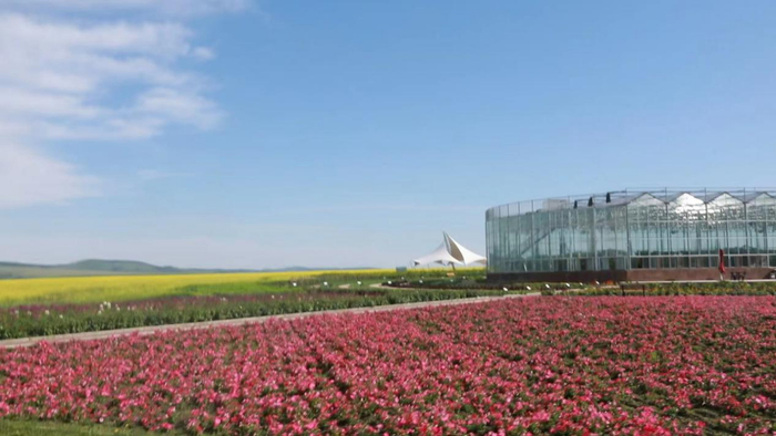 玻璃温室 央视网记者 彭俊 摄