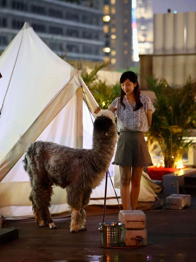 图源：小红薯@淡elyn