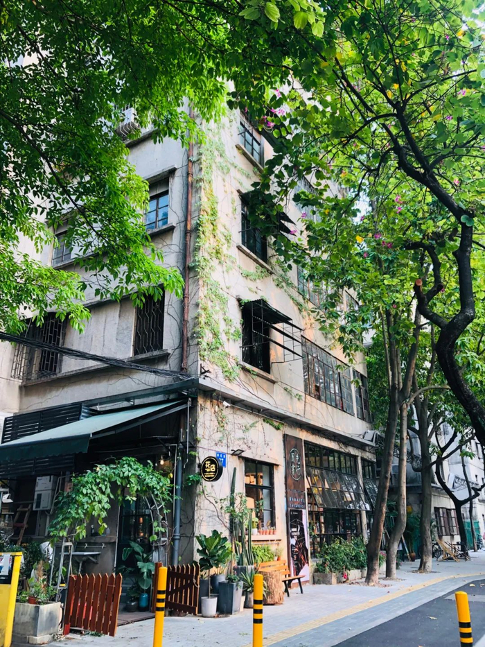 先行书店。曹欣仪/摄