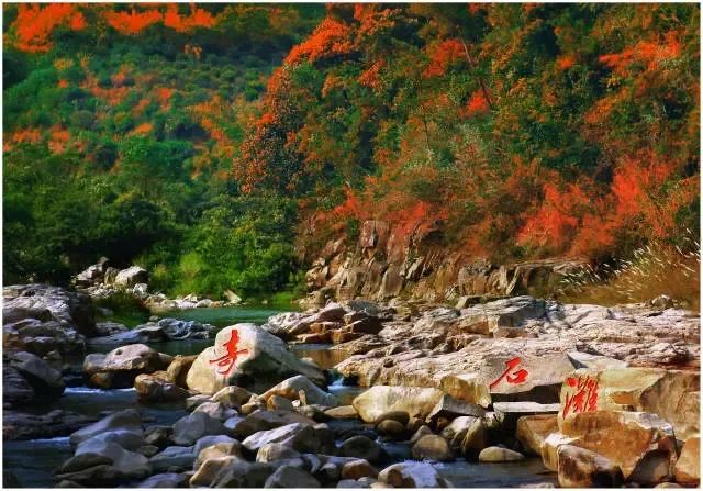 △图源四会发布