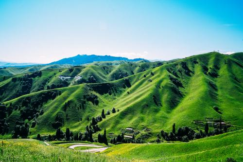 新疆的出圈给了旅游业全新的希望，也预示着行业整体向好。-视觉中国