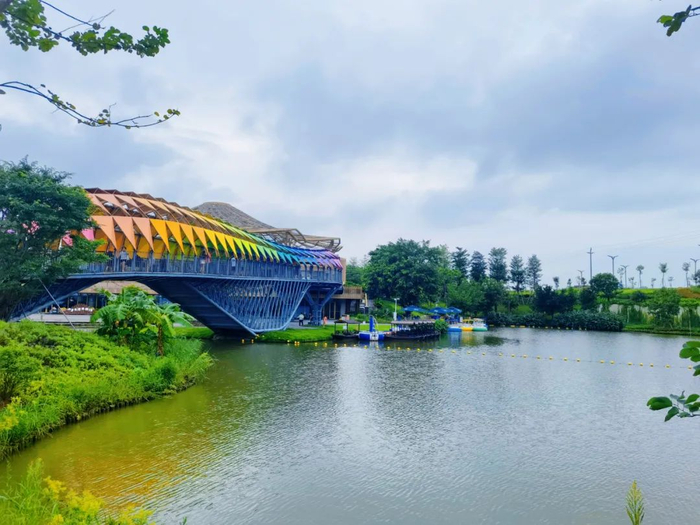 △ 华侨城古劳水乡。何雯意 摄