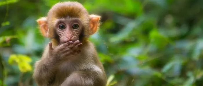 图片来源：摄图网-500416197