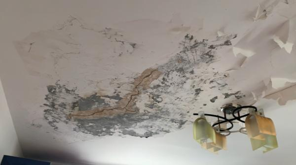 △602室复式二层屋顶渗透严重，墙面大面积发霉开裂。