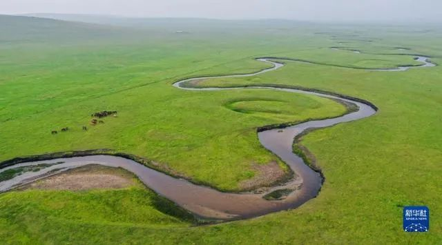▲内蒙古锡林郭勒盟东乌珠穆沁旗乃林高勒的草原风光。新华社记者 连振摄