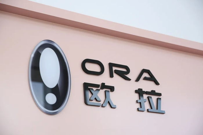 ▲ 欧拉汽车 图源：IC