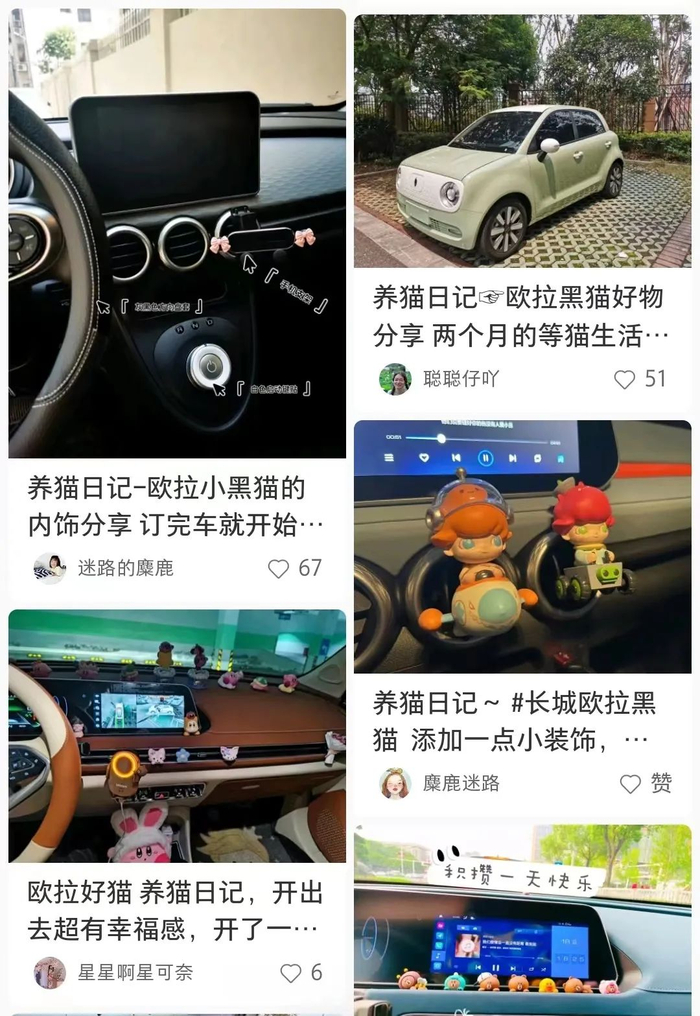 ▲  图源：小红书