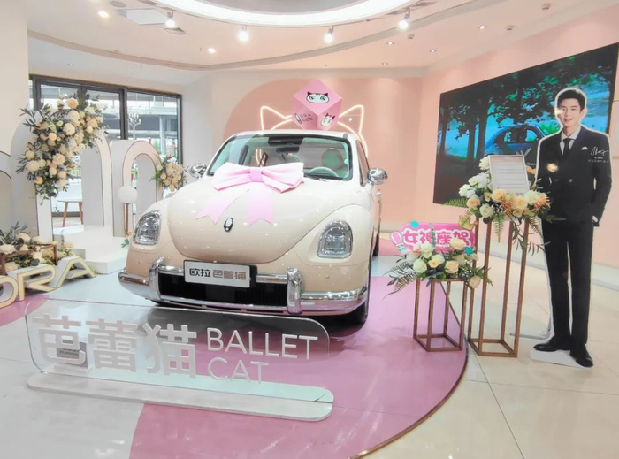 ▲ 欧拉“芭蕾猫”汽车 摄 / 邓雨洁