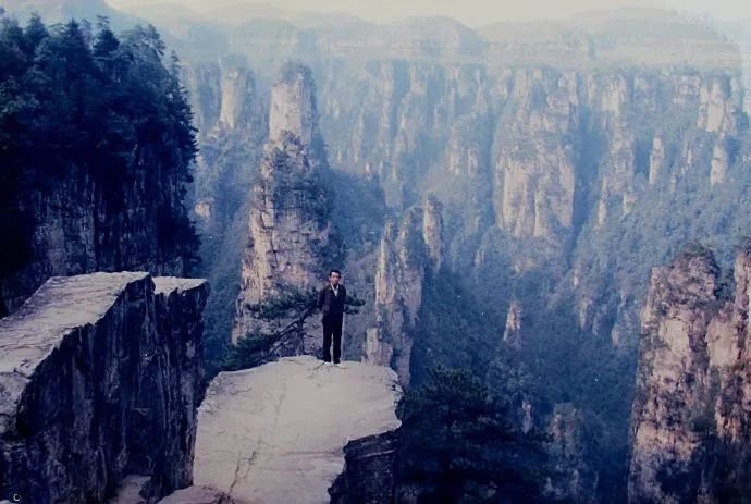 图源：问这里123