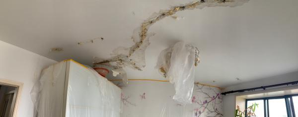 △屋顶有长达三米的裂缝，墙皮大量脱落，遍布“止水钉”。