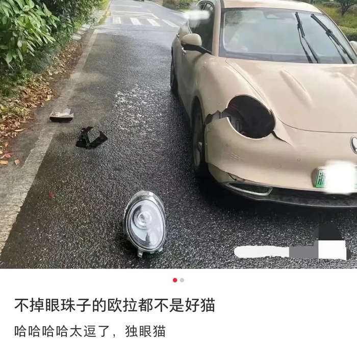 ▲  图源：小红书