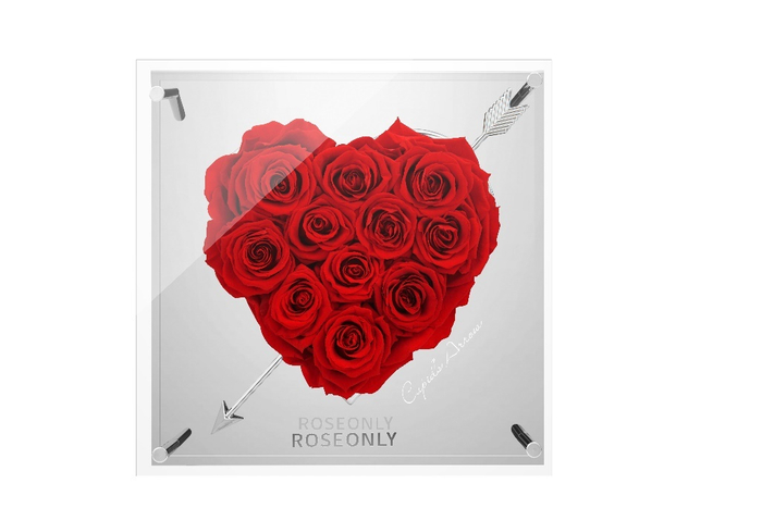 　　玫瑰系列一见倾心-方形-红色-28cm