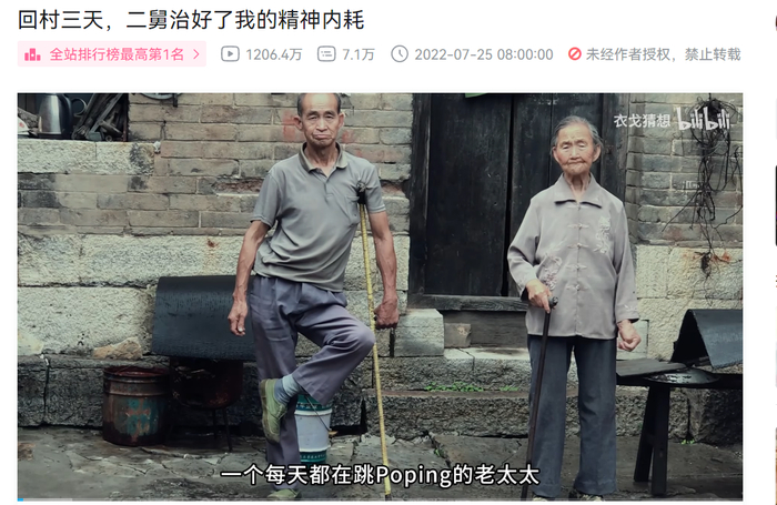 《回村三天，二舅治好了我的精神内耗》B站视频截图