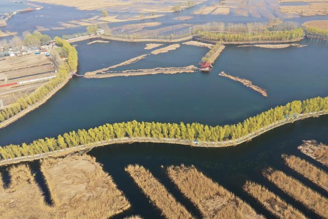 白洋淀淀区景色。