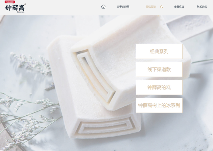 图片来源：钟薛高官网截图