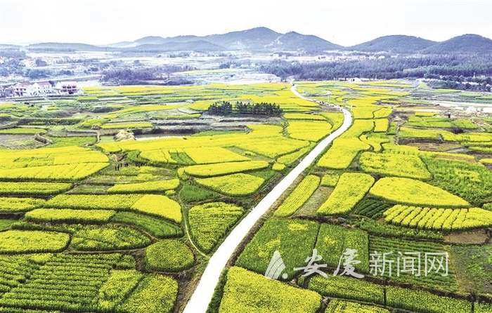 春日慈湖村。 通讯员 吴成铭 摄