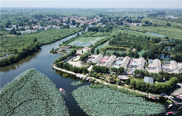 这是安新县王家寨村（2019年8月31日摄，无人机照片）。