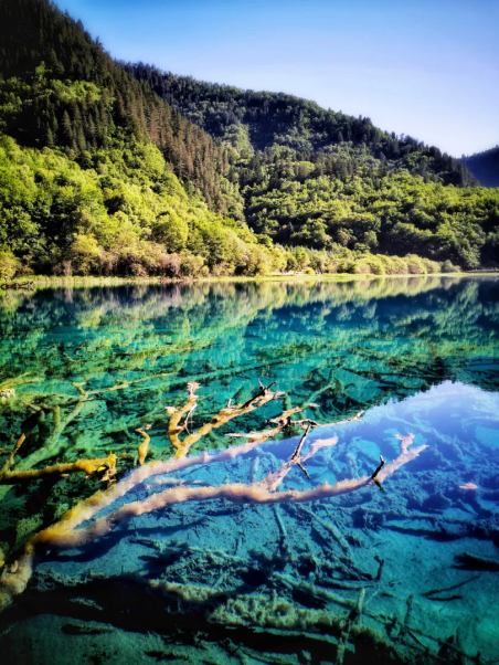 图源 九寨沟景区