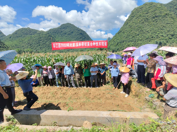 图为河池市环江县大豆玉米带状复合种植技术培训现场