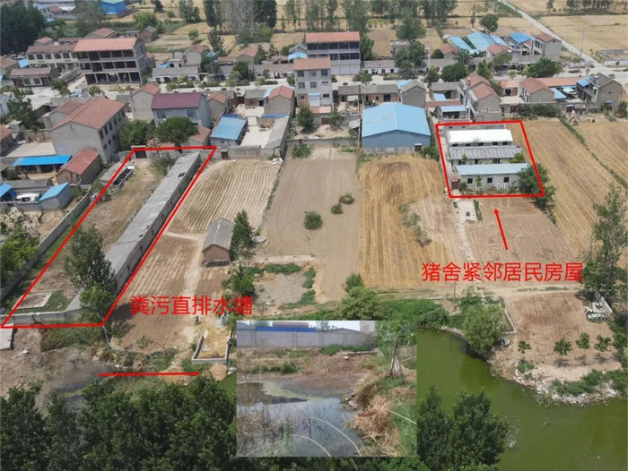 萧县杨楼镇养猪专业户紧邻居民住房，影响居民生活