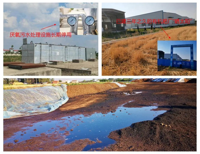 灵璧县德青源农业科技有限公司污染防治主体责任不落实