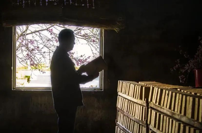 ▲桃花春曲通常在桃花盛开之时制作，花凋曲成