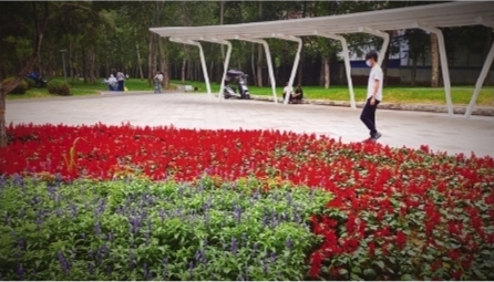         目前，已完成了662座口袋公园，其余预计8月底全部完成。辽沈晚报记者 王迪 摄