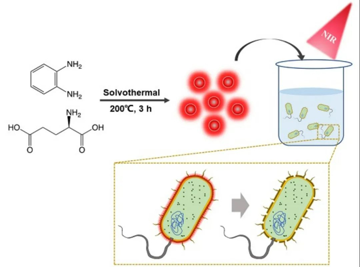 图3BAPTCDs合成和作用机理示意图